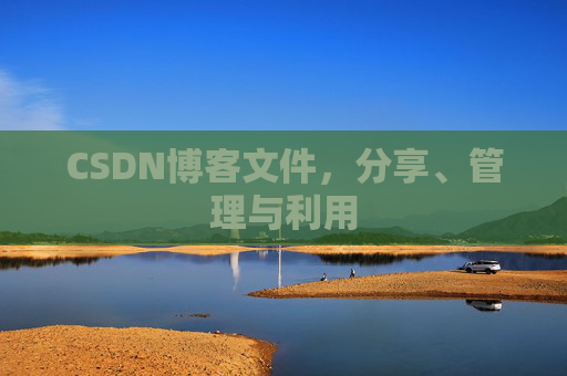 CSDN博客文件，分享、管理与利用
